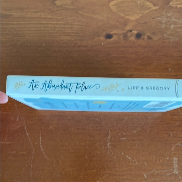 Kathi Lipp, An Abundant Place, Devotional Hardcover Book with Floral Design - Picture 4 of 5